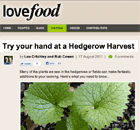 lovefood-2011-08-17